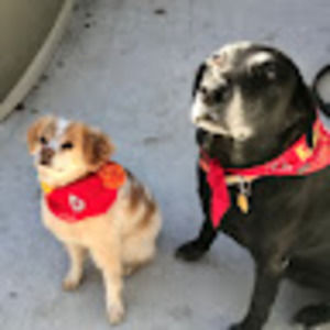 Meet your Posher, Kathy